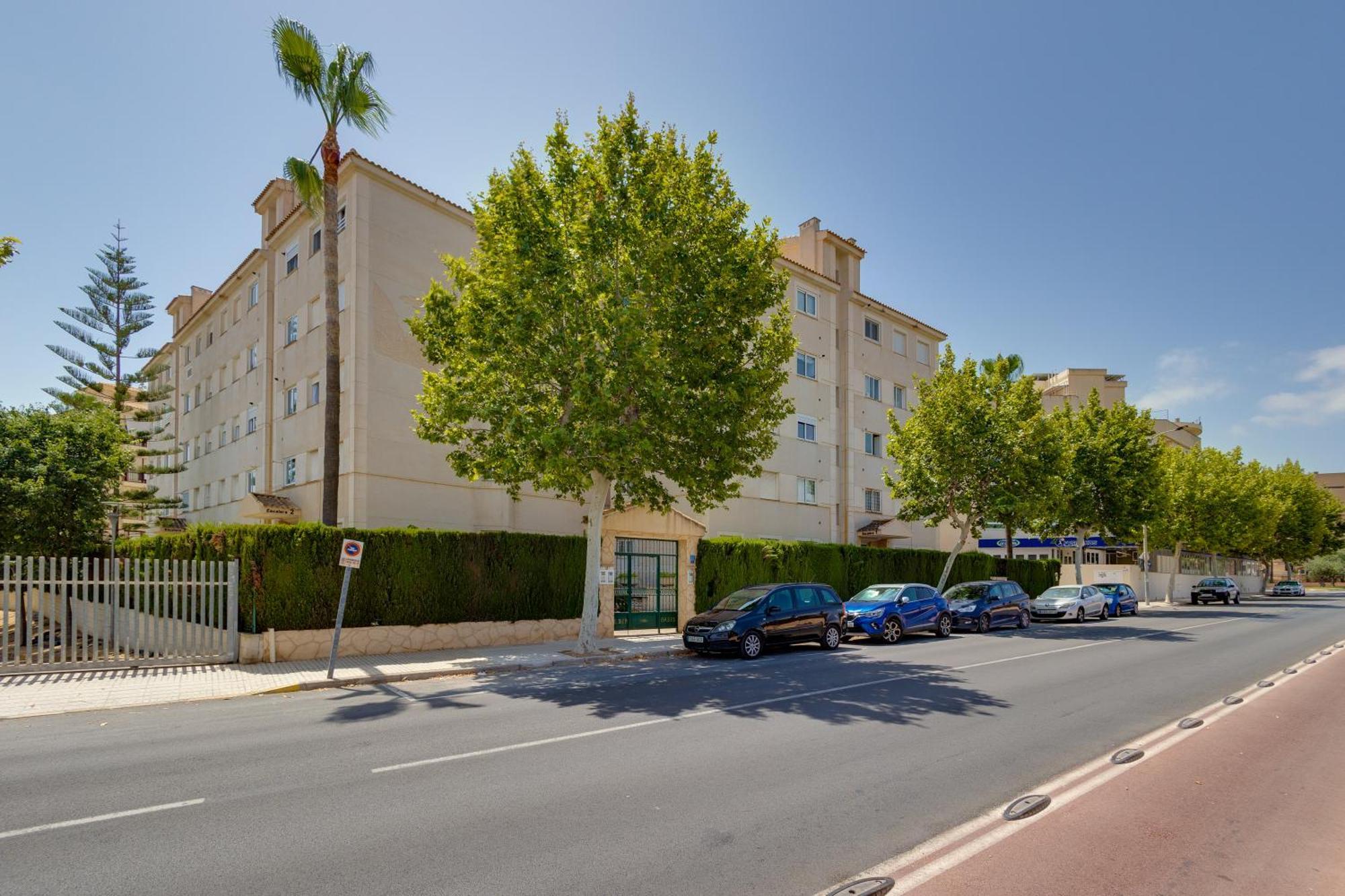 Apartamentos Oasis El Albir Esterno foto